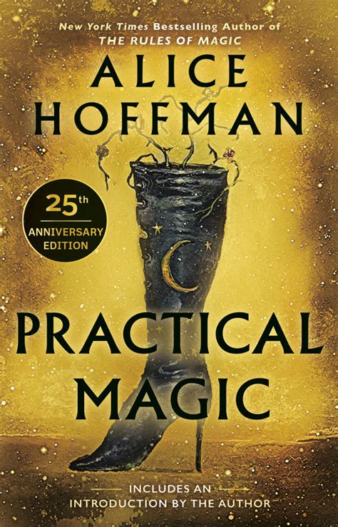 The Spellbinding Magic of Alice Hoffman's Practical Magic Books